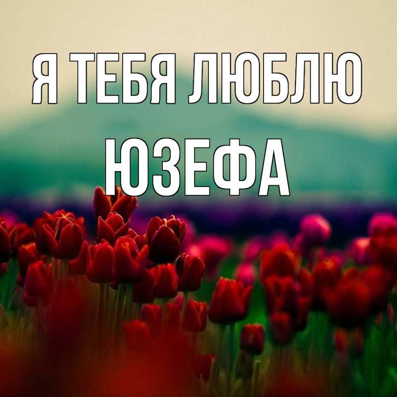 Картинка Я тебя люблю, Юзефа