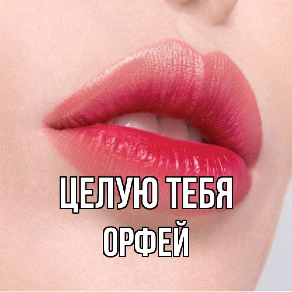 Открытка на каждый день с именем, Орфей Целую тебя губы зубки и нежная кожа Прикольная открытка с пожеланием онлайн скачать бесплатно 