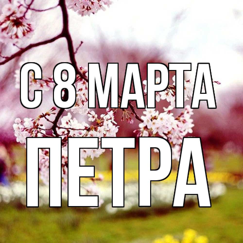 Открытка на каждый день с именем, Петра C 8 МАРТА яблоня Прикольная открытка с пожеланием онлайн скачать бесплатно 