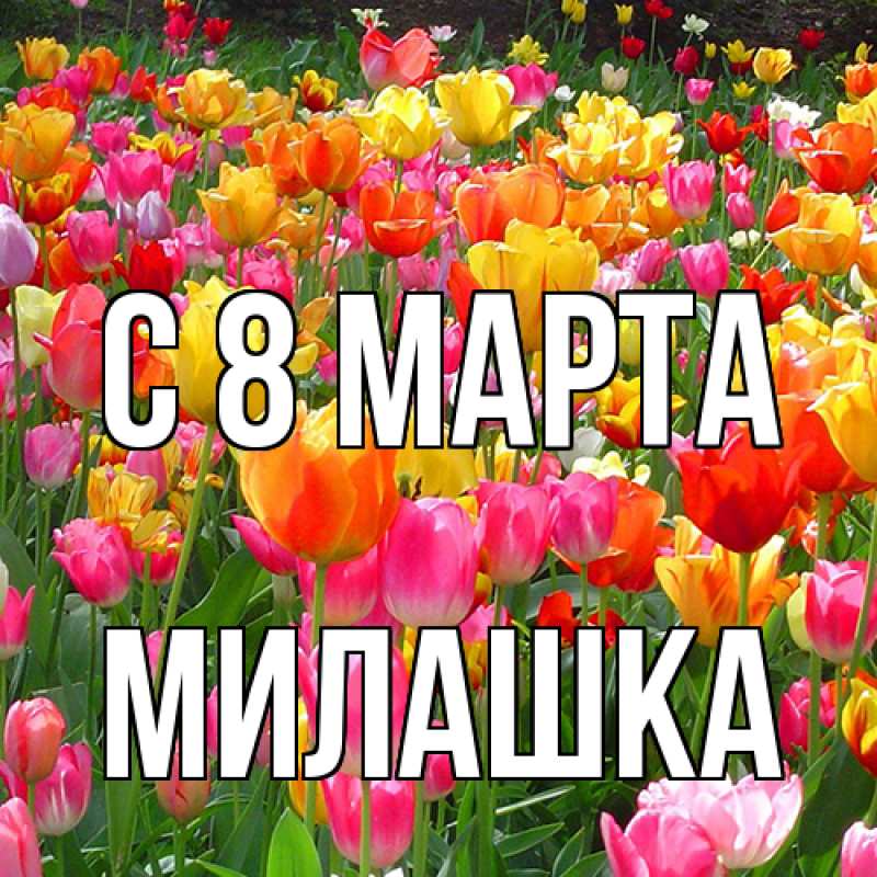 Картинка C 8 МАРТА, Милашка
