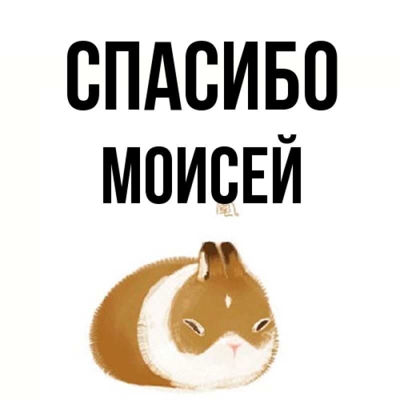 Открытка с именем, Моисей, Спасибо