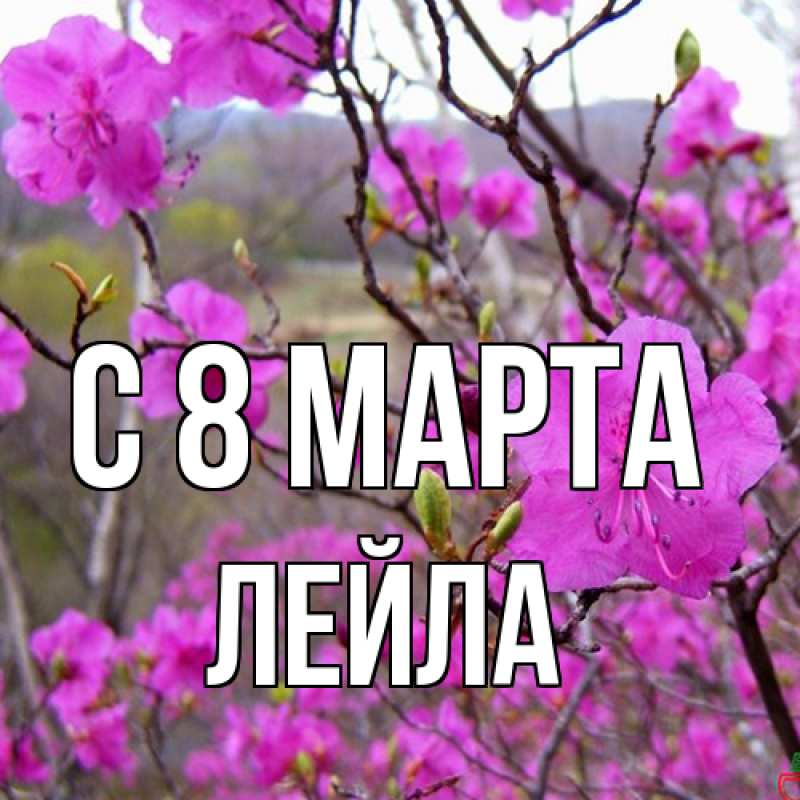 Картинка C 8 МАРТА, Лейла