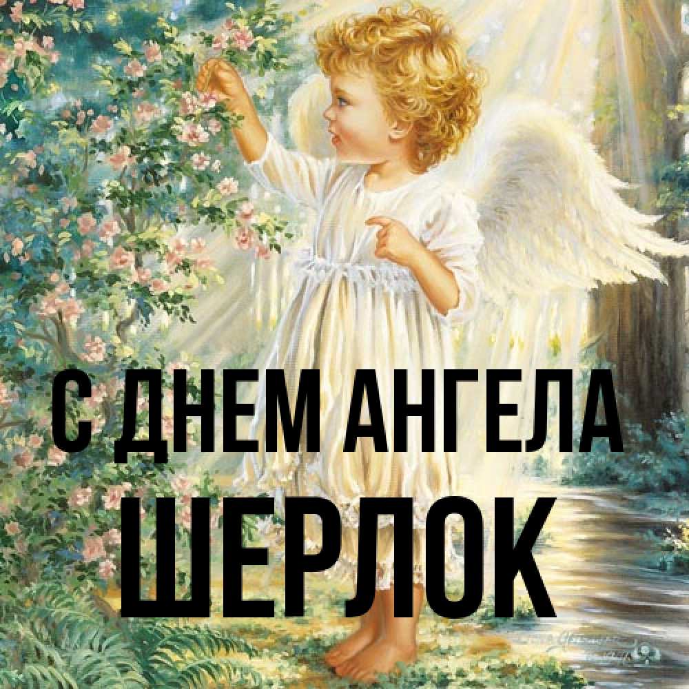 Открытка на каждый день с именем, Шерлок С днем ангела собирает цветы Прикольная открытка с пожеланием онлайн скачать бесплатно 
