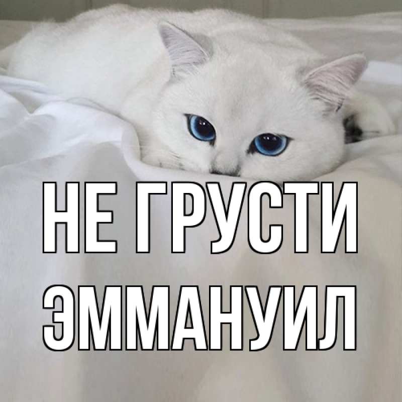 Картинка Не грусти, Эммануил
