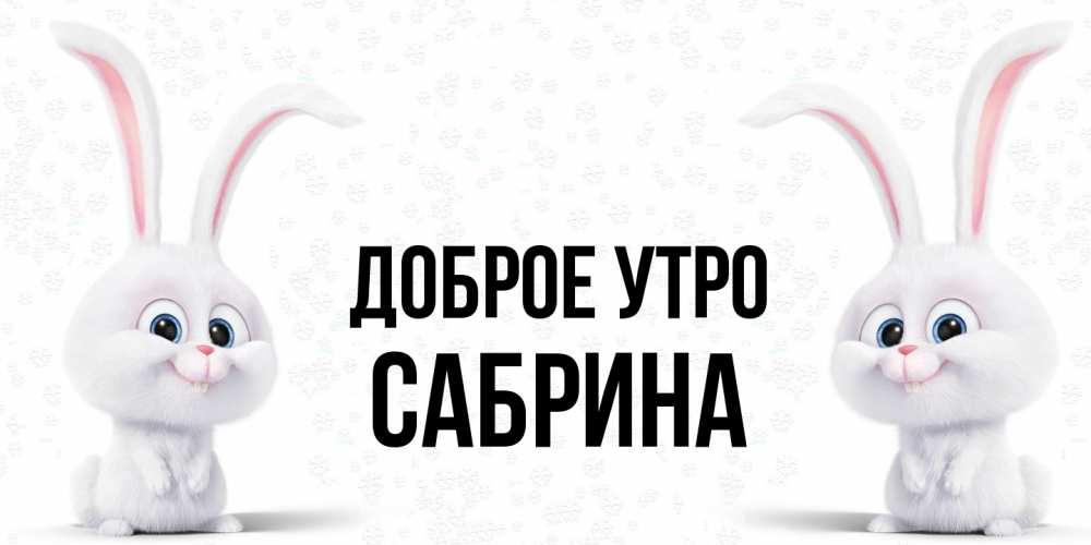 Открытка на каждый день с именем, Сабрина Доброе утро кролики с длинными ушками Прикольная открытка с пожеланием онлайн скачать бесплатно 