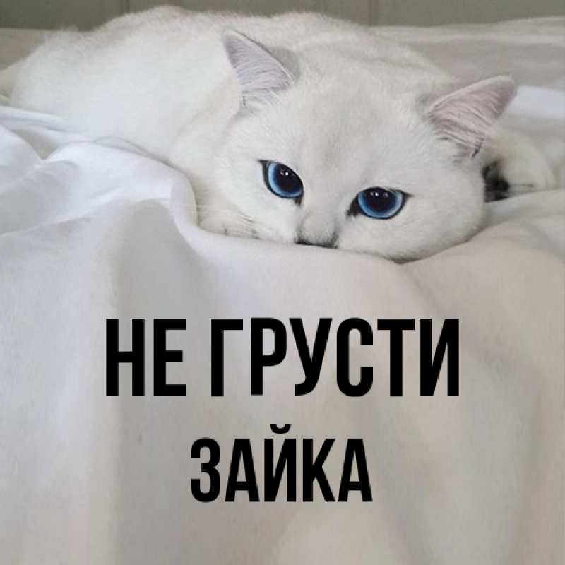 Открытка с именем, Зайка, Не грусти