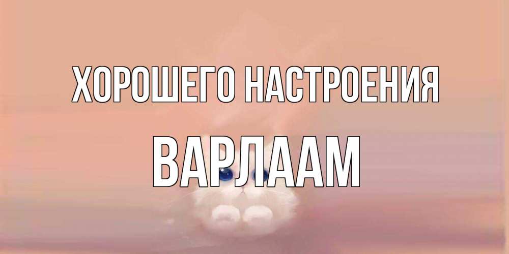 Открытка на каждый день с именем, Варлаам Хорошего настроения кошка Прикольная открытка с пожеланием онлайн скачать бесплатно 