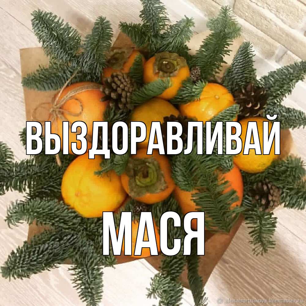 Открытка на каждый день с именем, Мася Выздоравливай апельсины и хурьма Прикольная открытка с пожеланием онлайн скачать бесплатно 