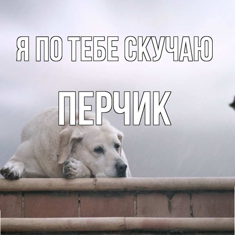 Картинка Я по тебе скучаю, перчик