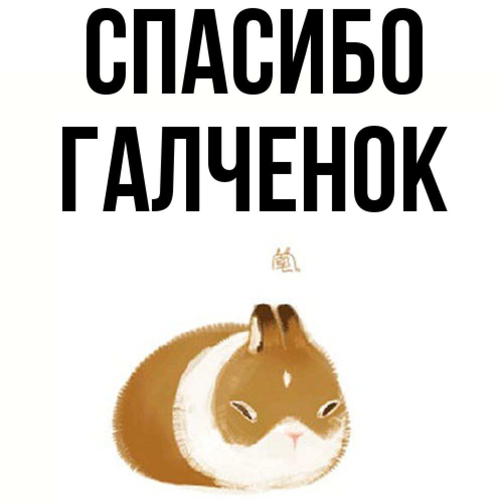 Открытка на каждый день с именем, Галченок Спасибо коричнево белый домашний питомец Прикольная открытка с пожеланием онлайн скачать бесплатно 