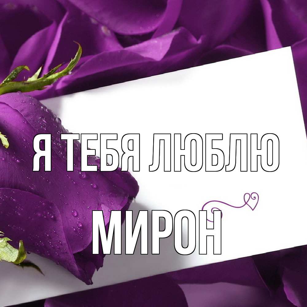 Открытка на каждый день с именем, Мирон Я тебя люблю роза Прикольная открытка с пожеланием онлайн скачать бесплатно 