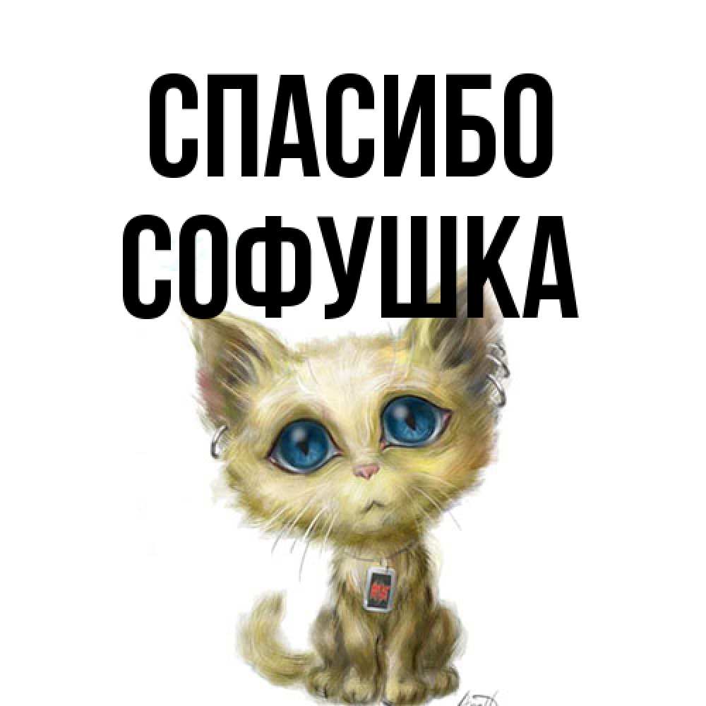 Открытка на каждый день с именем, Софушка Спасибо рисованный кот благодарит вас Прикольная открытка с пожеланием онлайн скачать бесплатно 