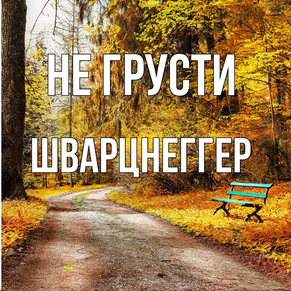 Открытка на каждый день с именем, Шварцнеггер Не грусти зеленая лавочка Прикольная открытка с пожеланием онлайн скачать бесплатно 