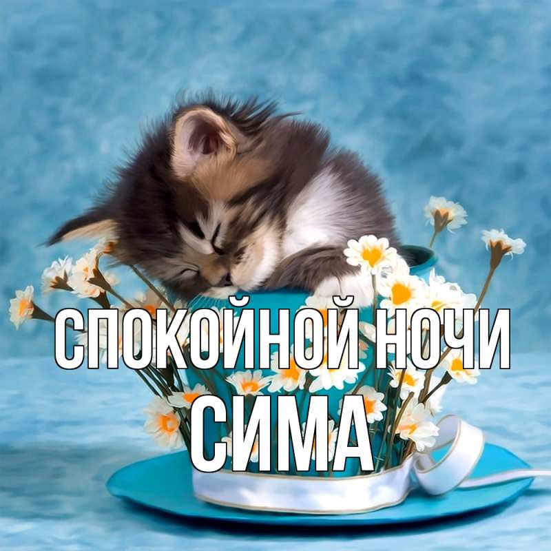 Открытка с именем, Сима, Спокойной ночи