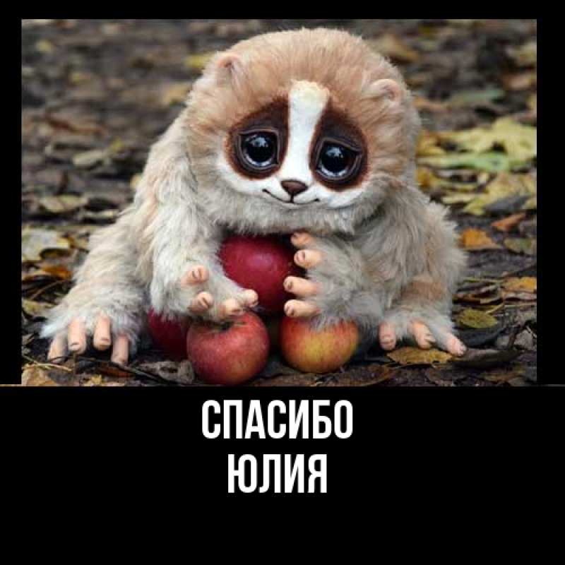 Картинка Спасибо, Юлия