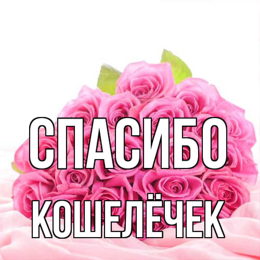 Открытка на каждый день с именем, кошелёчек Спасибо розовые розы с подписью Прикольная открытка с пожеланием онлайн скачать бесплатно 