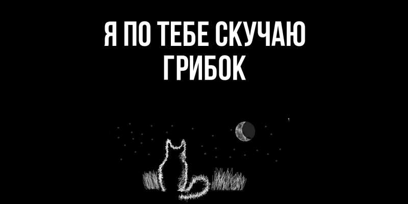 Картинка Я по тебе скучаю, Грибок