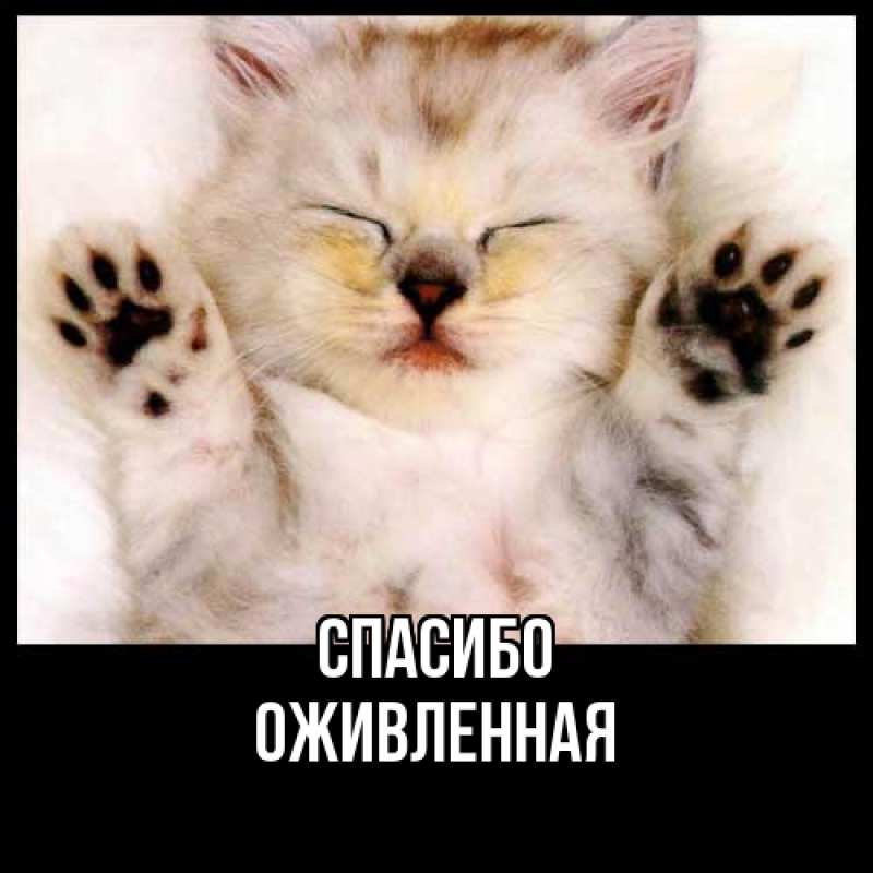 Картинка Спасибо, Оживленная