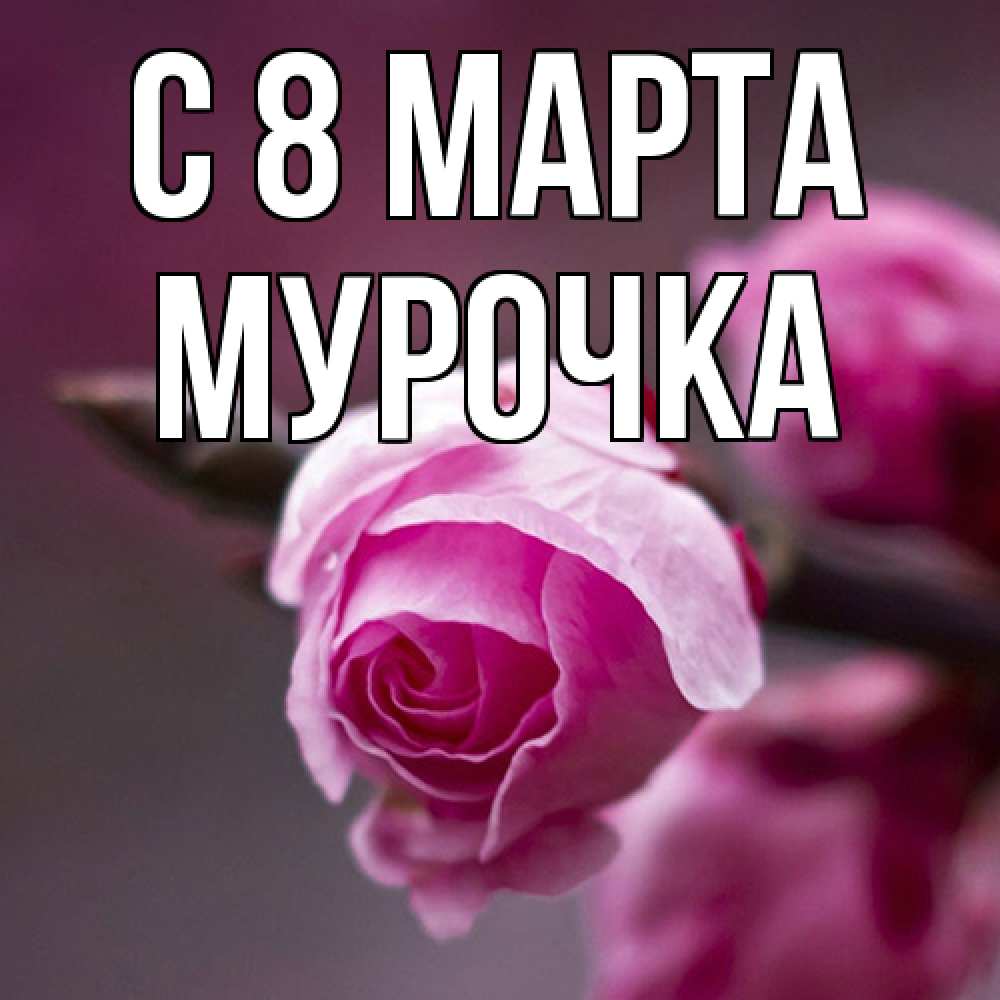 Открытка на каждый день с именем, Мурочка C 8 МАРТА весна Прикольная открытка с пожеланием онлайн скачать бесплатно 