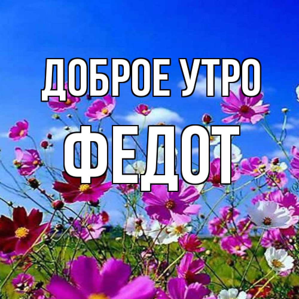 Открытка на каждый день с именем, Федот Доброе утро сиреневые цветы Прикольная открытка с пожеланием онлайн скачать бесплатно 
