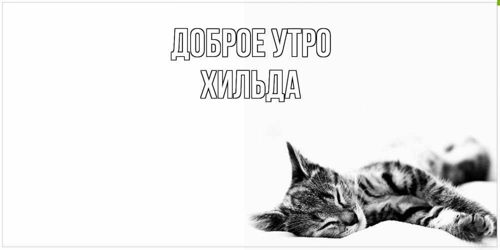Открытка на каждый день с именем, Хильда Доброе утро котуся Прикольная открытка с пожеланием онлайн скачать бесплатно 