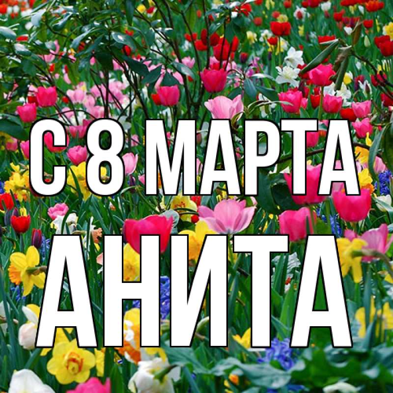 Картинка C 8 МАРТА, Анита
