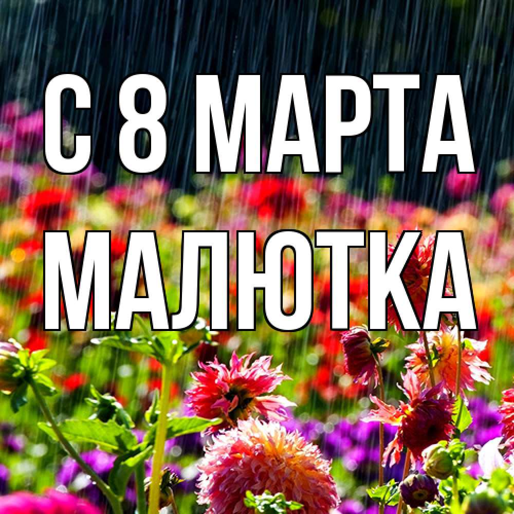 Открытка на каждый день с именем, малютка C 8 МАРТА цветы под дождиком к международному женскому дню Прикольная открытка с пожеланием онлайн скачать бесплатно 