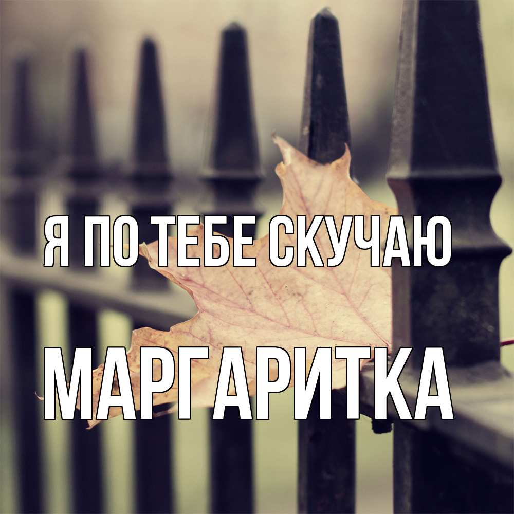 Открытка на каждый день с именем, Маргаритка Я по тебе скучаю очень скучно Прикольная открытка с пожеланием онлайн скачать бесплатно 