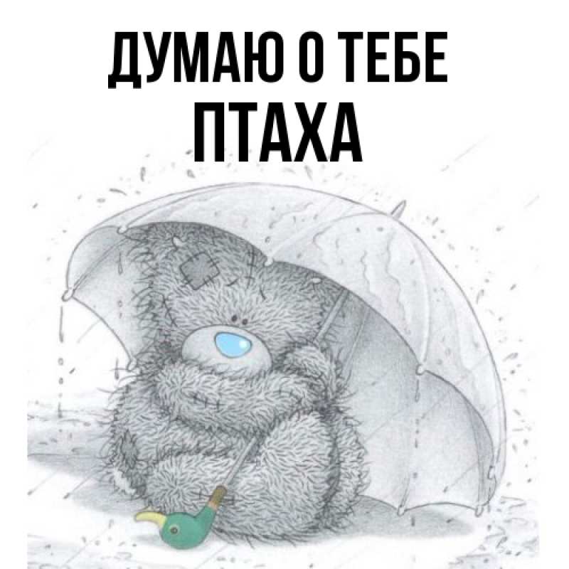Картинка Думаю о тебе, Птаха