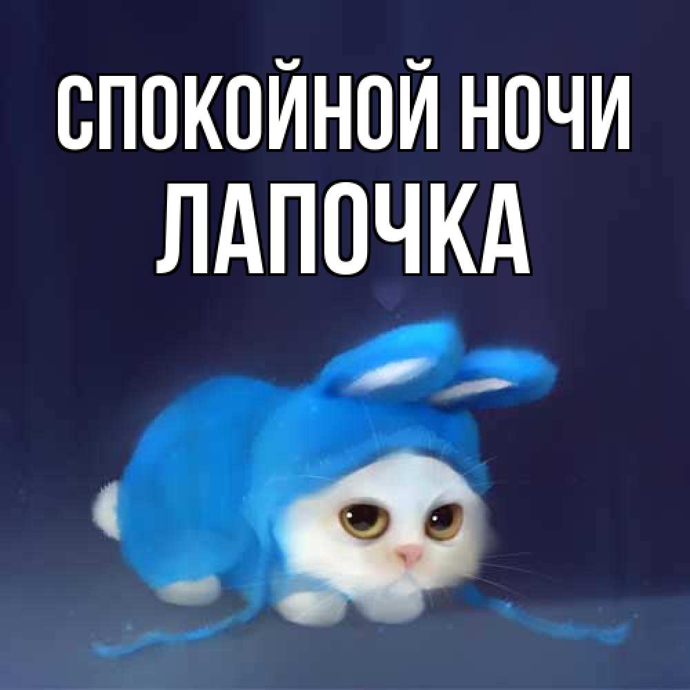 Открытка на каждый день с именем, лапочка Спокойной ночи кот в голубом костюме кролика с ушками Прикольная открытка с пожеланием онлайн скачать бесплатно 