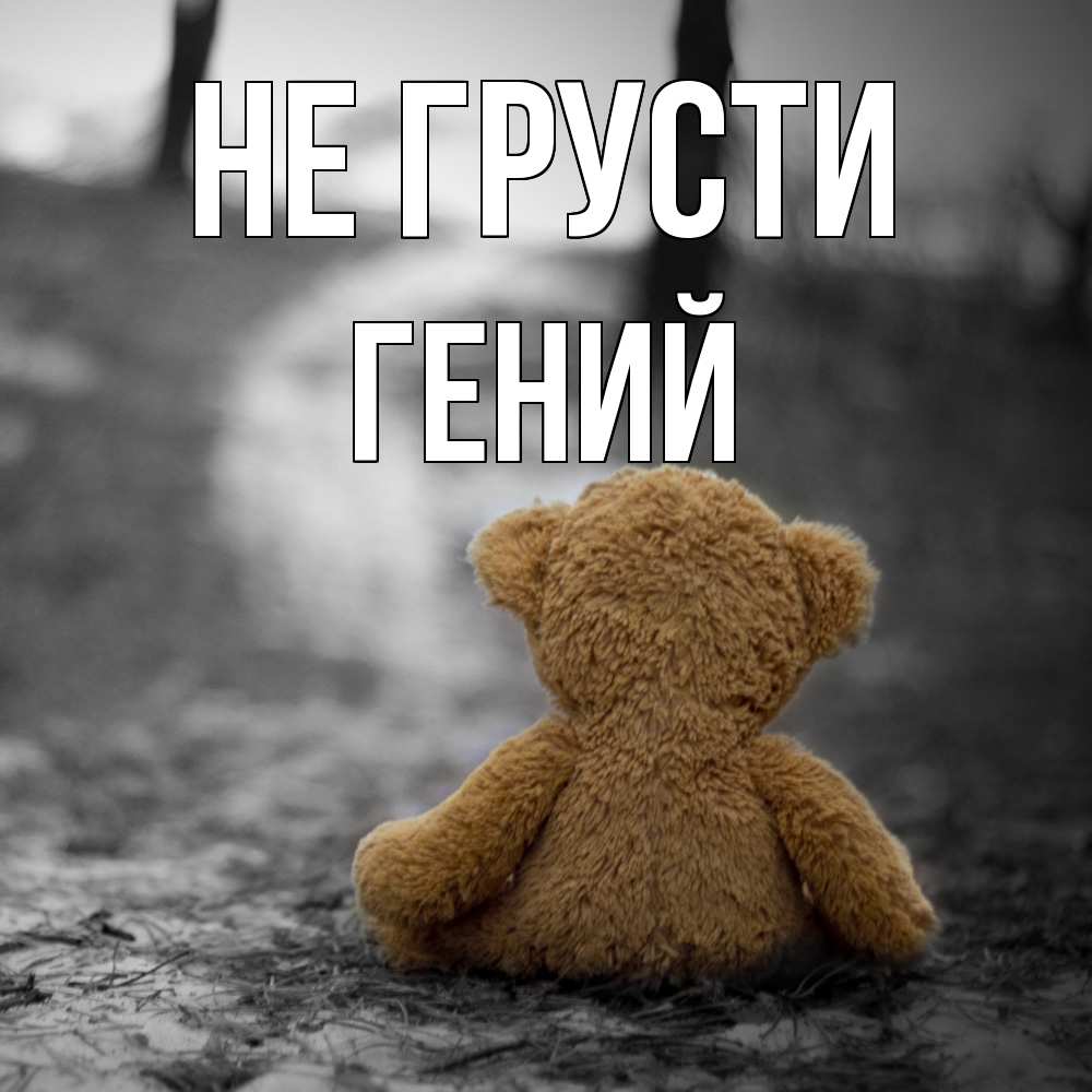 Открытка на каждый день с именем, Гений Не грусти медведь со спин Прикольная открытка с пожеланием онлайн скачать бесплатно 