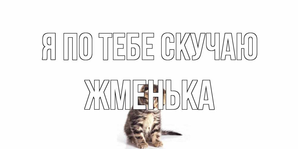 Открытка на каждый день с именем, Жменька Я по тебе скучаю кот Прикольная открытка с пожеланием онлайн скачать бесплатно 