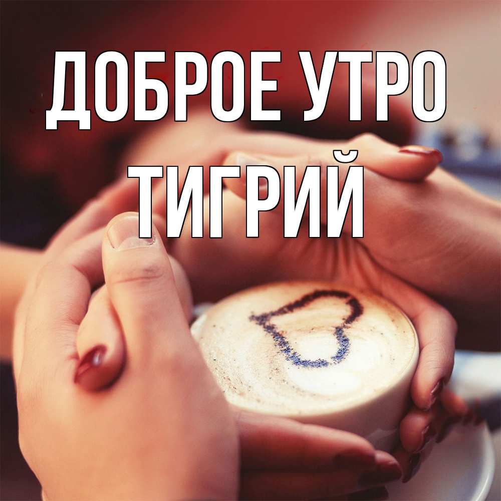 Открытка на каждый день с именем, Тигрий Доброе утро мы навсегда вместе Прикольная открытка с пожеланием онлайн скачать бесплатно 