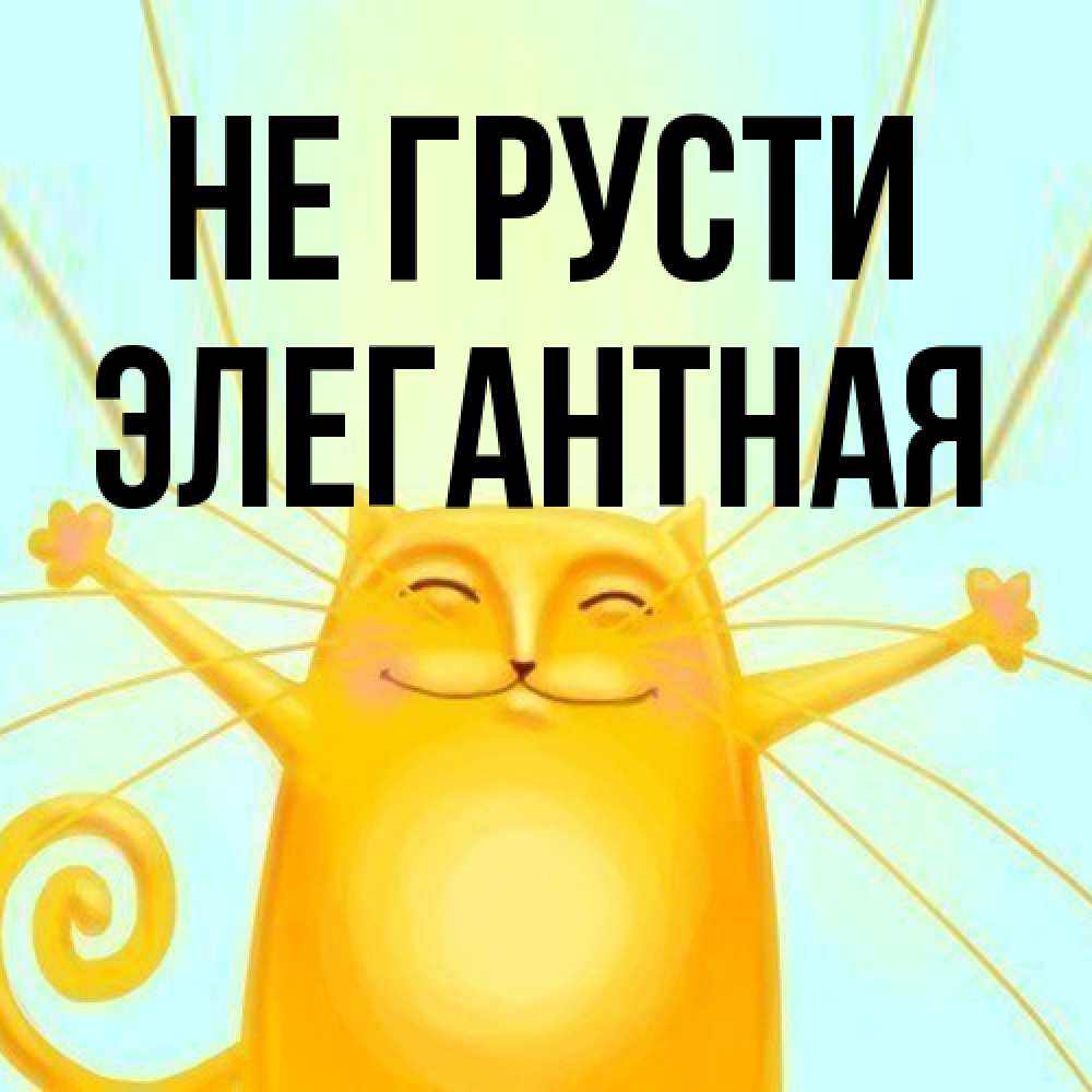 Открытка на каждый день с именем, элегантная Не грусти обнимашки усатые Прикольная открытка с пожеланием онлайн скачать бесплатно 