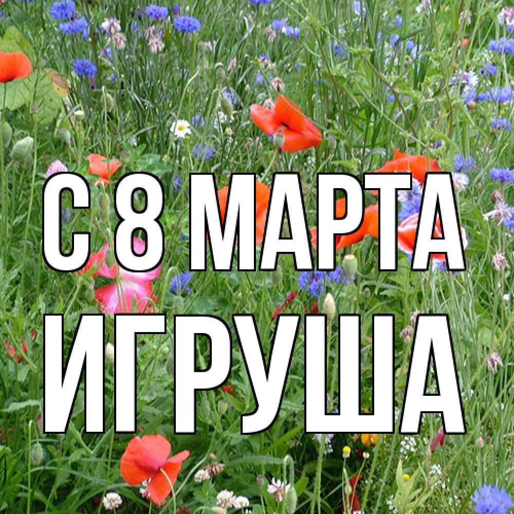 Открытка на каждый день с именем, Игруша C 8 МАРТА международный женский день 4 Прикольная открытка с пожеланием онлайн скачать бесплатно 