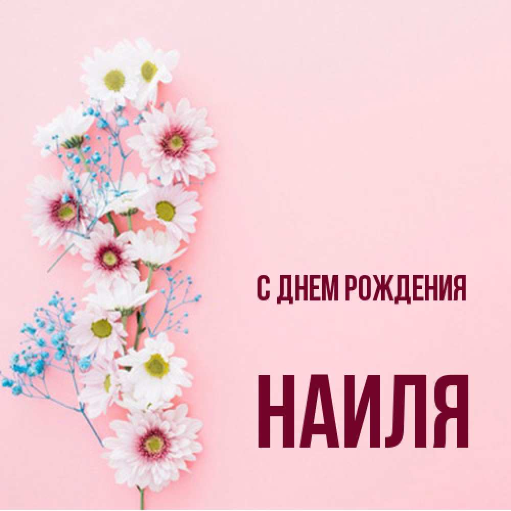 Открытка на каждый день с именем, Наиля С днем рождения Родная моя с днем рождения тебя картинка с цветами белыми и голубыми Прикольная открытка с пожеланием онлайн скачать бесплатно 