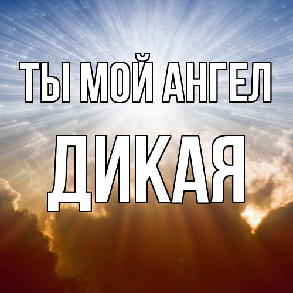 Открытка на каждый день с именем, дикая Ты мой ангел ангельский свет на небе Прикольная открытка с пожеланием онлайн скачать бесплатно 