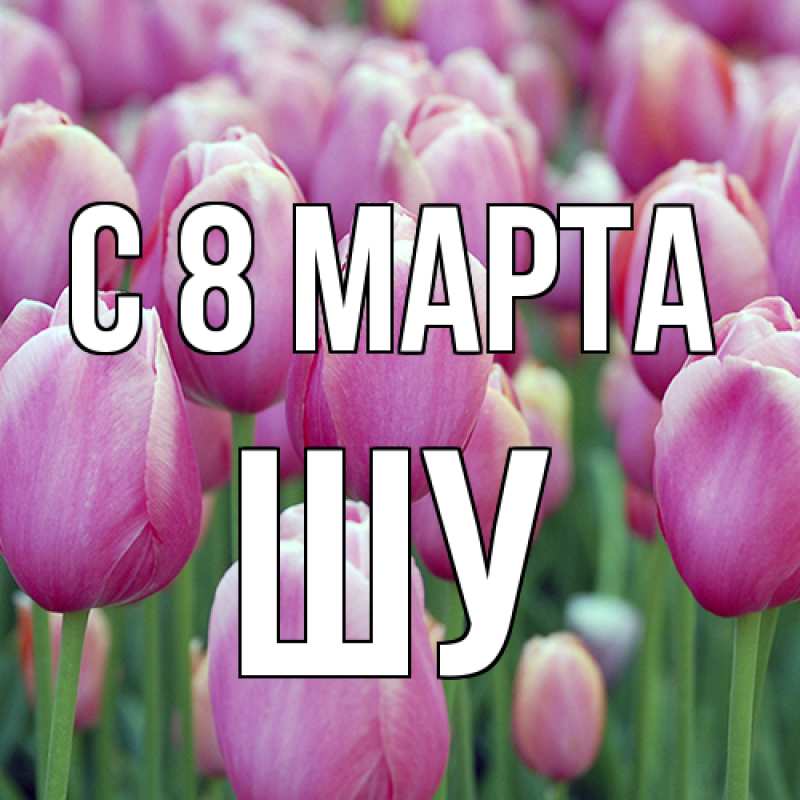 Картинка C 8 МАРТА, Шу