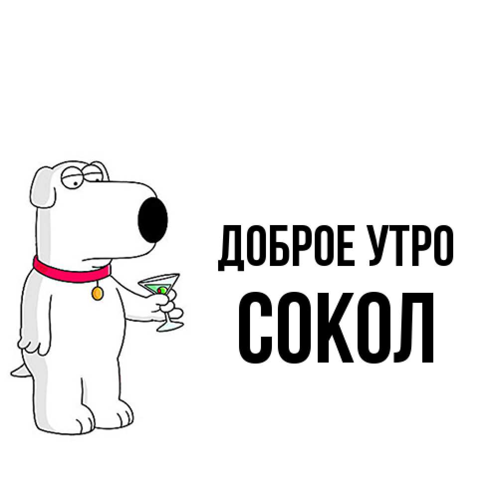Открытка на каждый день с именем, Сокол Доброе утро герои мультфильмов белый пес Прикольная открытка с пожеланием онлайн скачать бесплатно 