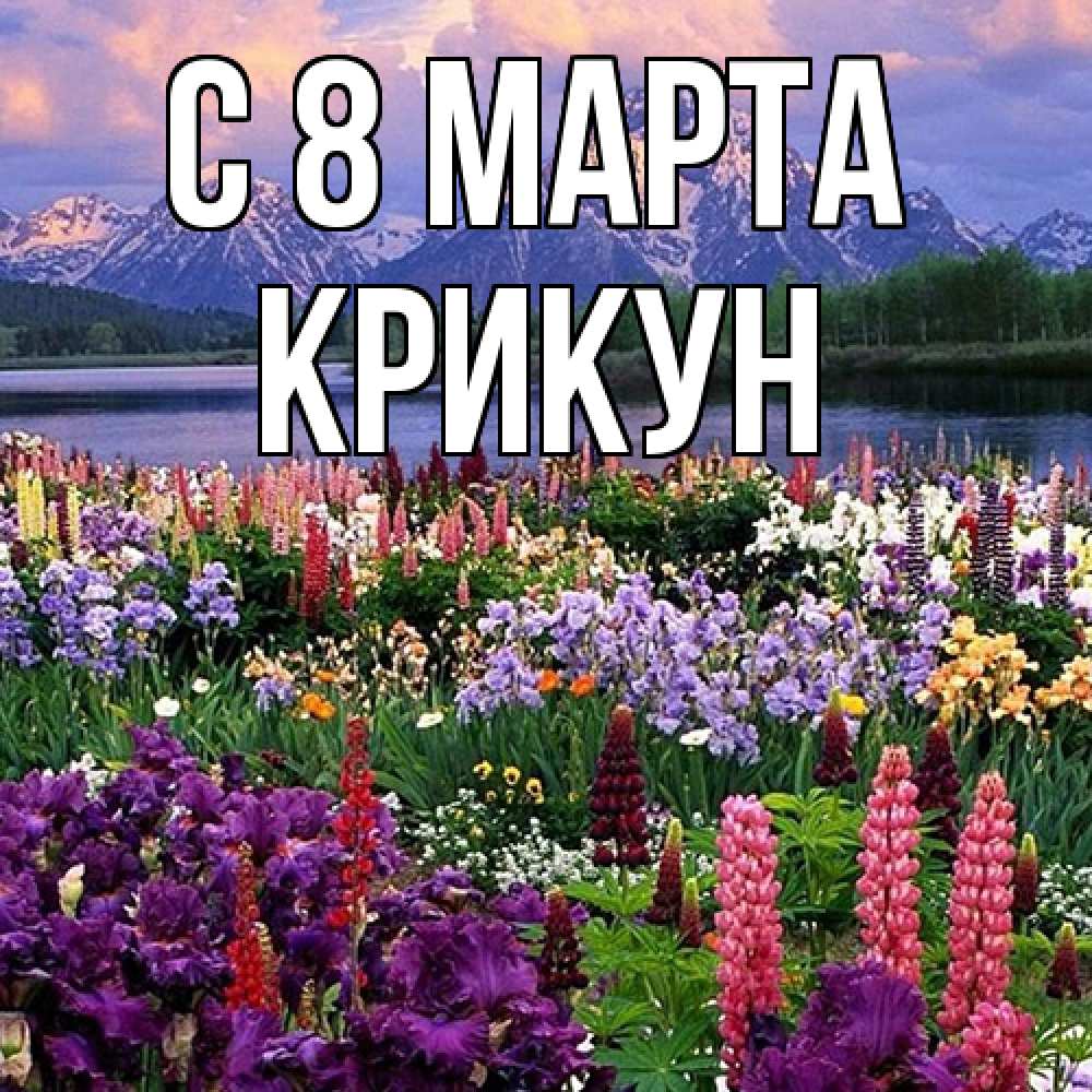 Открытка на каждый день с именем, Крикун C 8 МАРТА международный женский день Прикольная открытка с пожеланием онлайн скачать бесплатно 