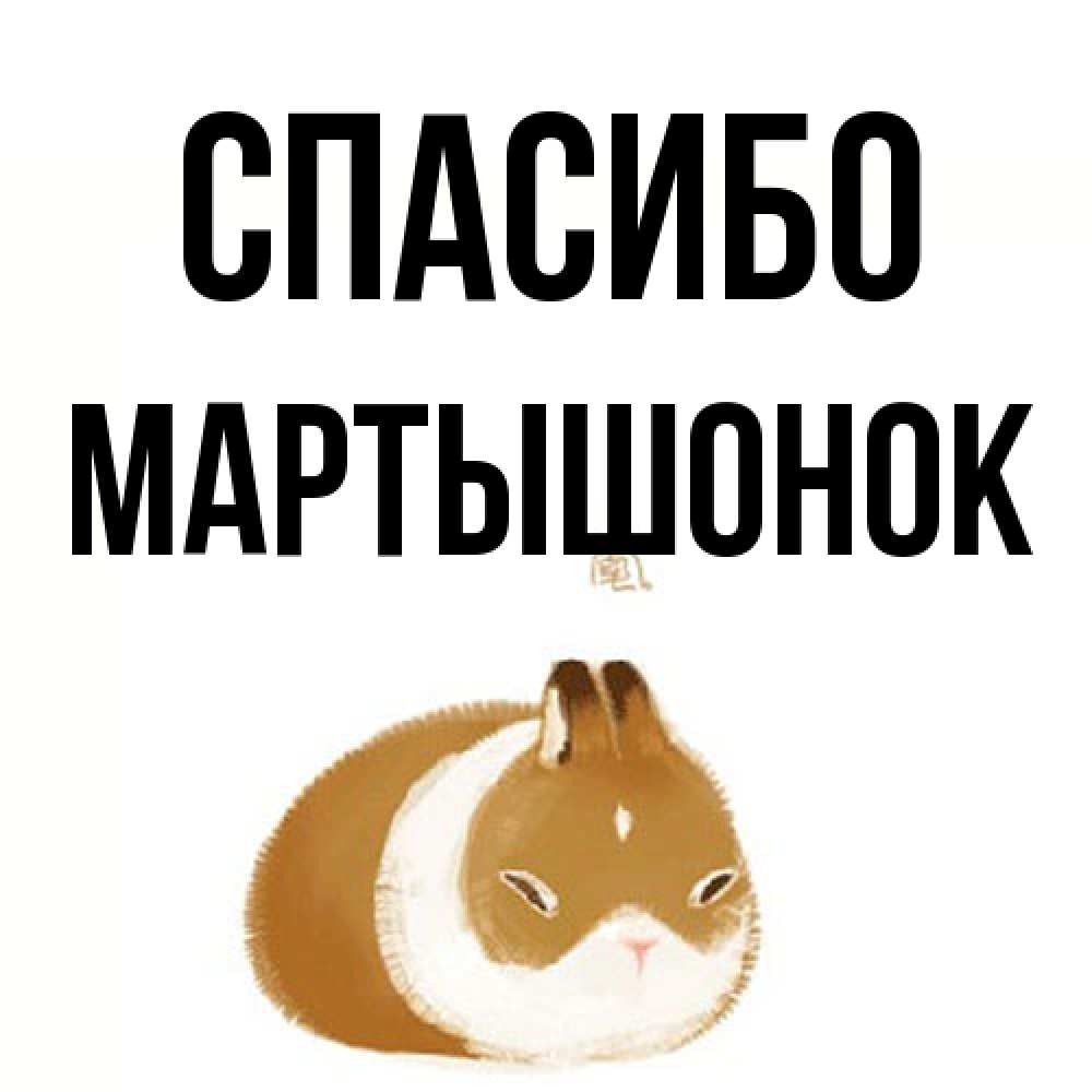 Открытка на каждый день с именем, Маpтышонок Спасибо коричнево белый домашний питомец Прикольная открытка с пожеланием онлайн скачать бесплатно 