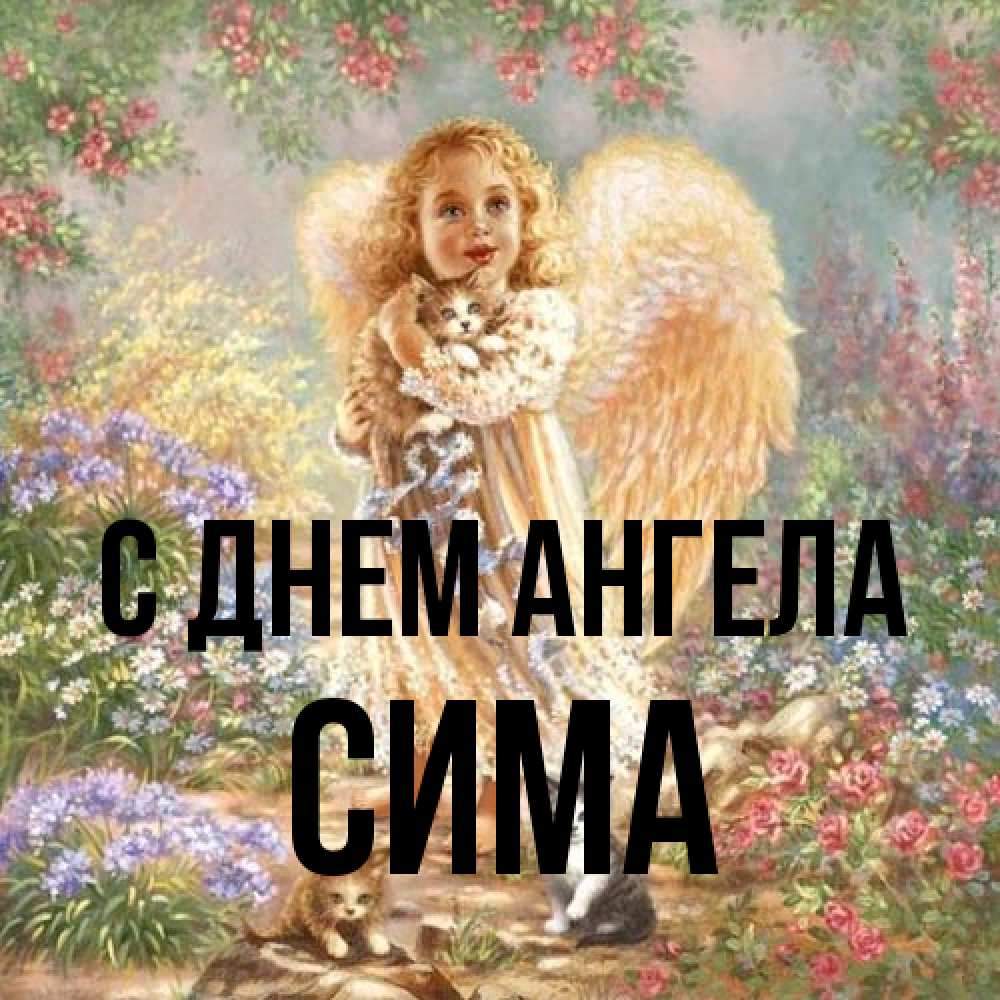 Открытка на каждый день с именем, Сима С днем ангела держит котенка Прикольная открытка с пожеланием онлайн скачать бесплатно 
