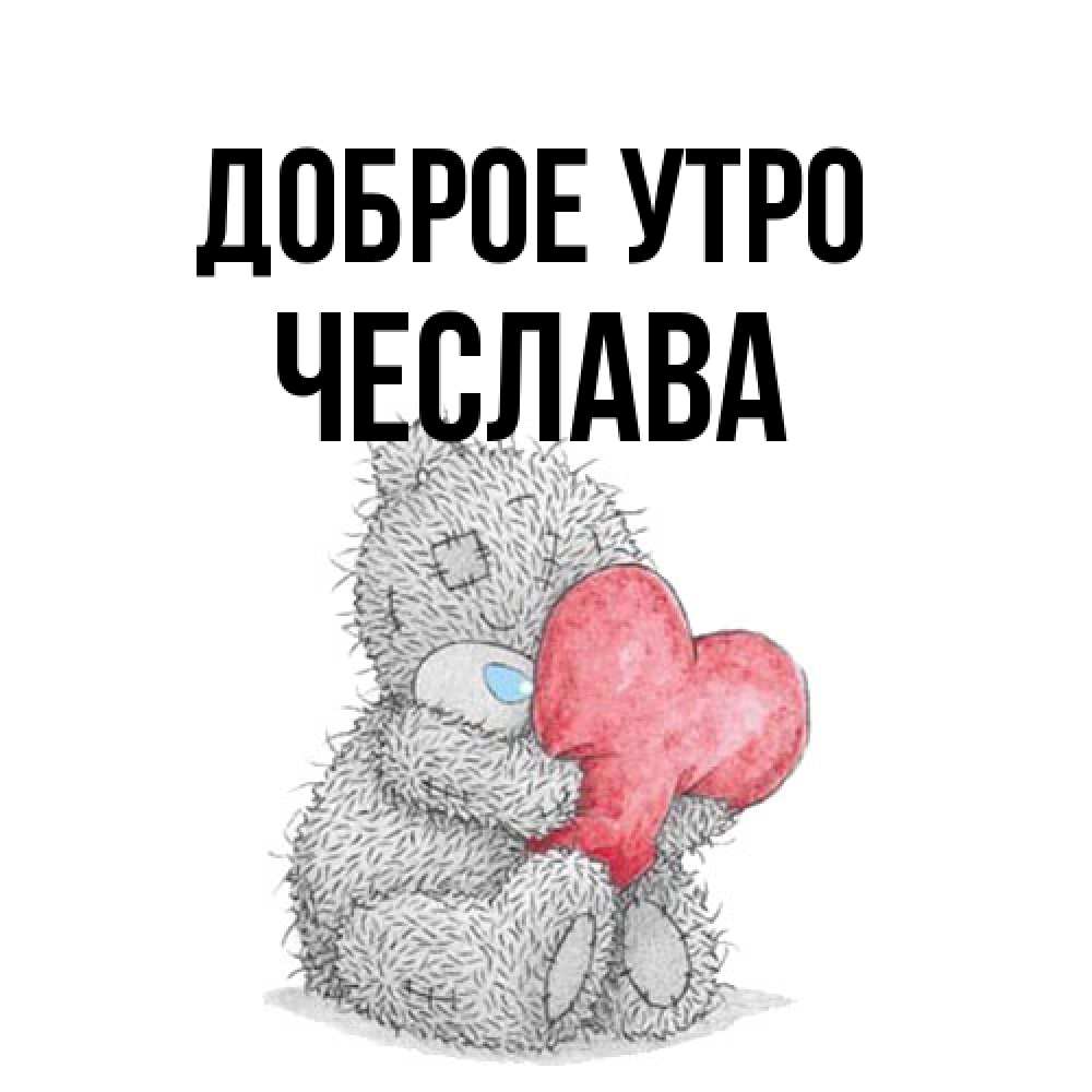 Открытка на каждый день с именем, Чеслава Доброе утро плюшевые игрушки Прикольная открытка с пожеланием онлайн скачать бесплатно 