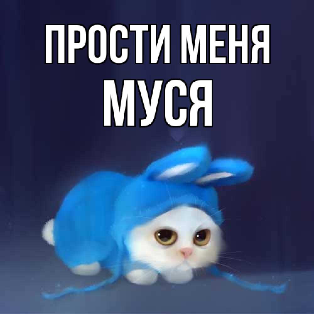 Открытка на каждый день с именем, Муся Прости меня невинный котозай просит прощения Прикольная открытка с пожеланием онлайн скачать бесплатно 