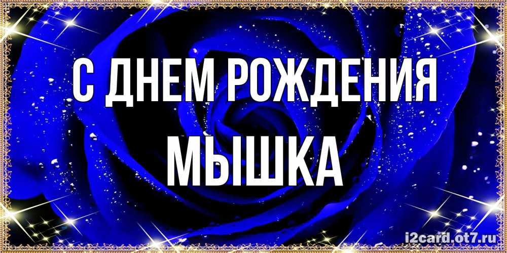 Открытка на каждый день с именем, Мышка С днем рождения голубые цветы в росе Прикольная открытка с пожеланием онлайн скачать бесплатно 