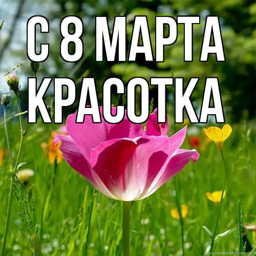 Открытка на каждый день с именем, Красотка C 8 МАРТА полевые цветы Прикольная открытка с пожеланием онлайн скачать бесплатно 