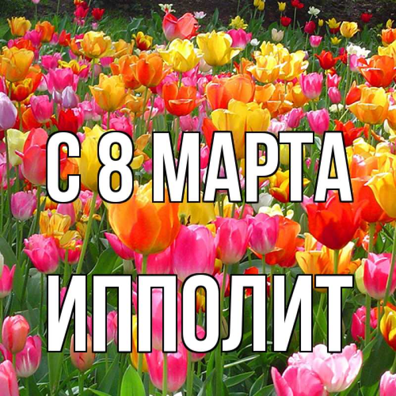 Открытка с именем, Ипполит, C 8 МАРТА
