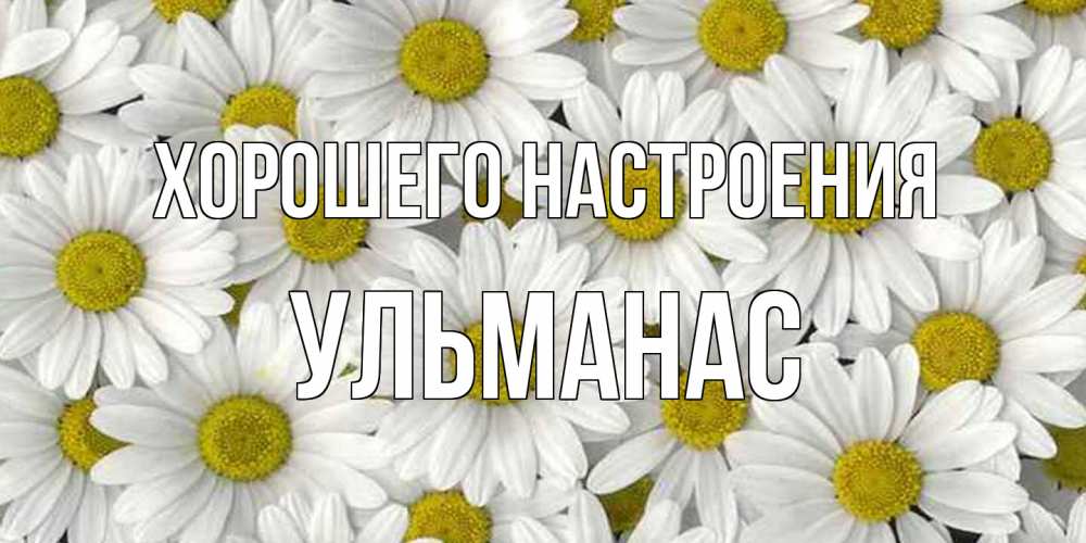 Открытка на каждый день с именем, Ульманас Хорошего настроения поляна ромашек Прикольная открытка с пожеланием онлайн скачать бесплатно 