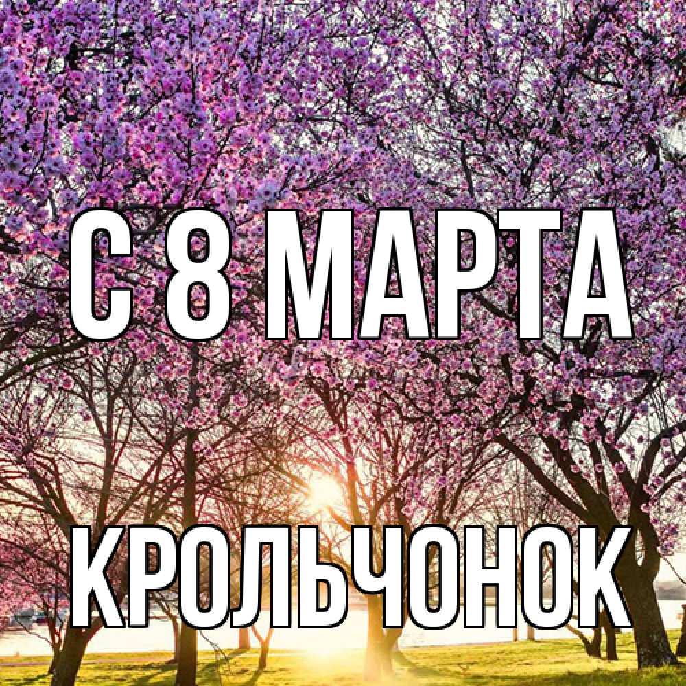 Открытка на каждый день с именем, Крольчонок C 8 МАРТА международный женский день Прикольная открытка с пожеланием онлайн скачать бесплатно 