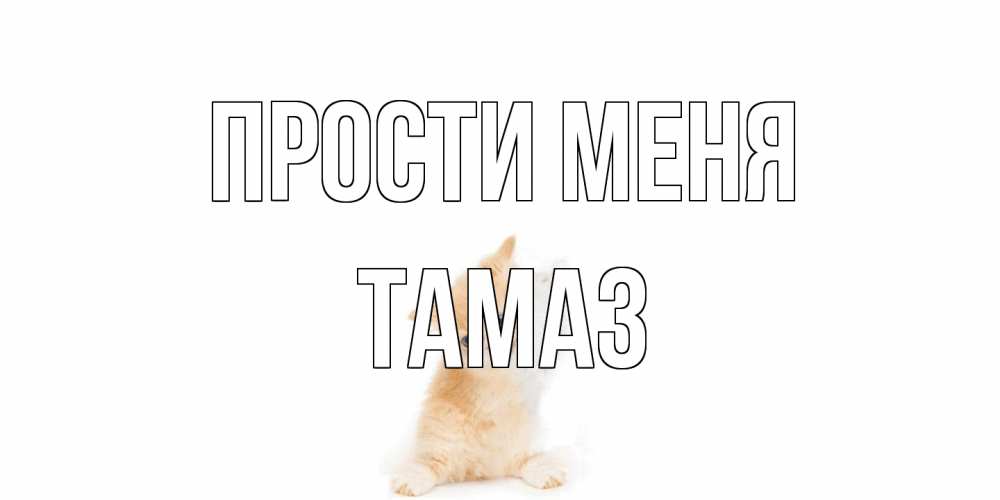 Открытка на каждый день с именем, Тамаз Прости меня кот Прикольная открытка с пожеланием онлайн скачать бесплатно 